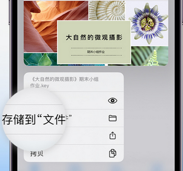 海晏apple维修中心分享iPhone文件应用中存储和找到下载文件