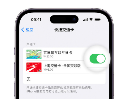 海晏apple维修点分享iPhone上更换Apple Pay快捷交通卡手绘卡面 