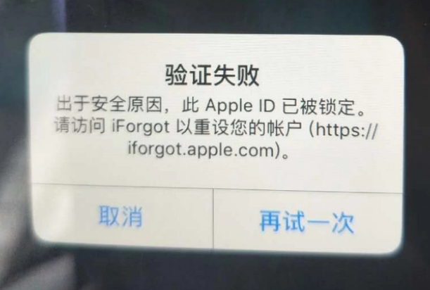 海晏iPhone维修分享iPhone上正常登录或使用AppleID怎么办 