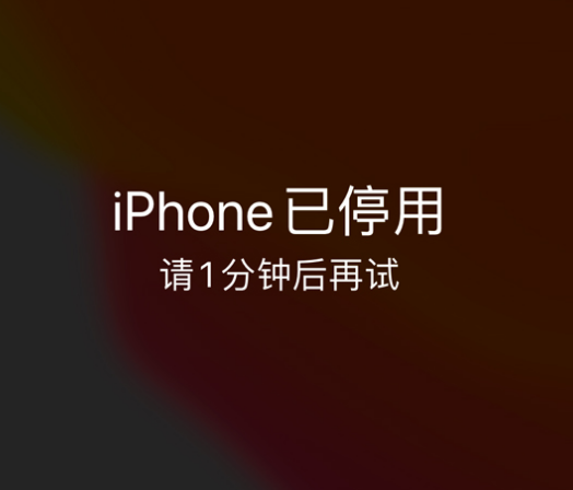 海晏苹果手机维修分享:iPhone 显示“不可用”或“已停用”怎么办？还能保留数据吗？ 