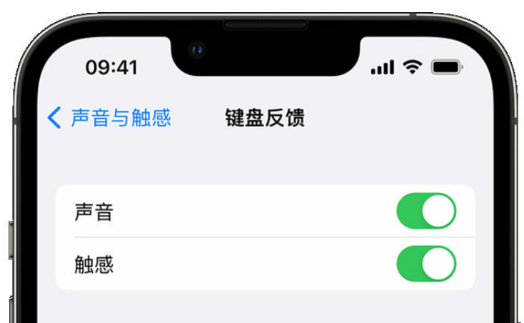 海晏苹果手机维修分享iPhone 14触感键盘使用方法 