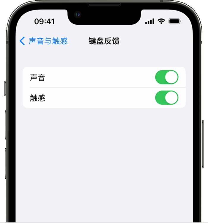 海晏苹果14维修店分享如何在 iPhone 14 机型中使用触感键盘 