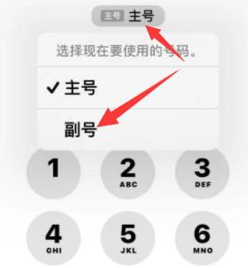 海晏苹果14维修店分享iPhone 14 Pro Max使用副卡打电话的方法 