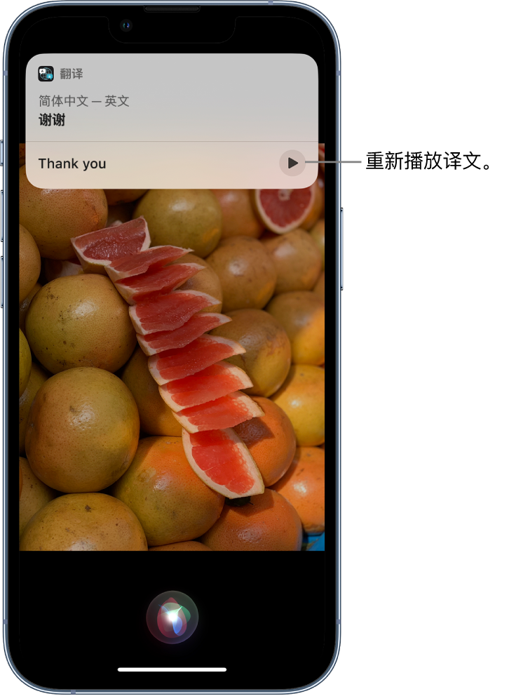 海晏苹果14维修分享 iPhone 14 机型中使用 Siri：了解 Siri 能帮你做什么 