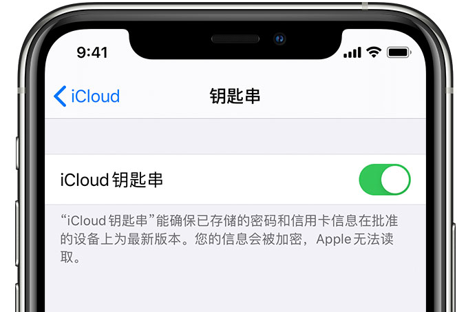 海晏苹果手机维修分享在 iPhone 上开启 iCloud 钥匙串之后会储存哪些信息 