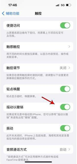 海晏苹果手机维修分享iPhone手机如何设置摇一摇删除文字 