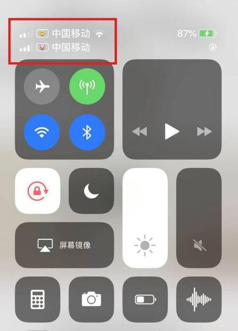 海晏苹果手机维修分享为 iPhone 12 双卡设置标签 