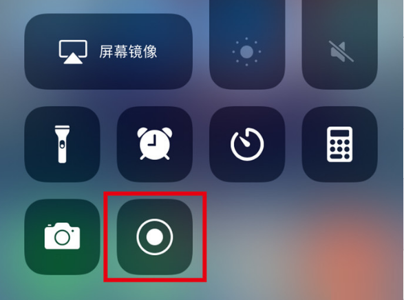 海晏苹果手机维修分享iPhone12录屏方法教程 