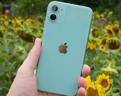 海晏苹果维修点分享iPhone 11锁屏密码认知与使用科普 